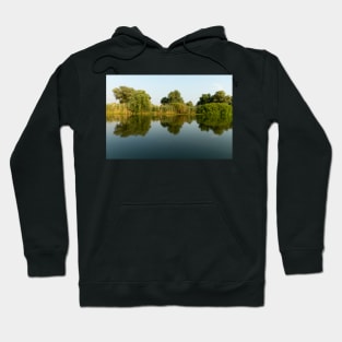 Landscape with waterline, reeds and vegetation, water reflections, in Danube Delta, Romania Hoodie